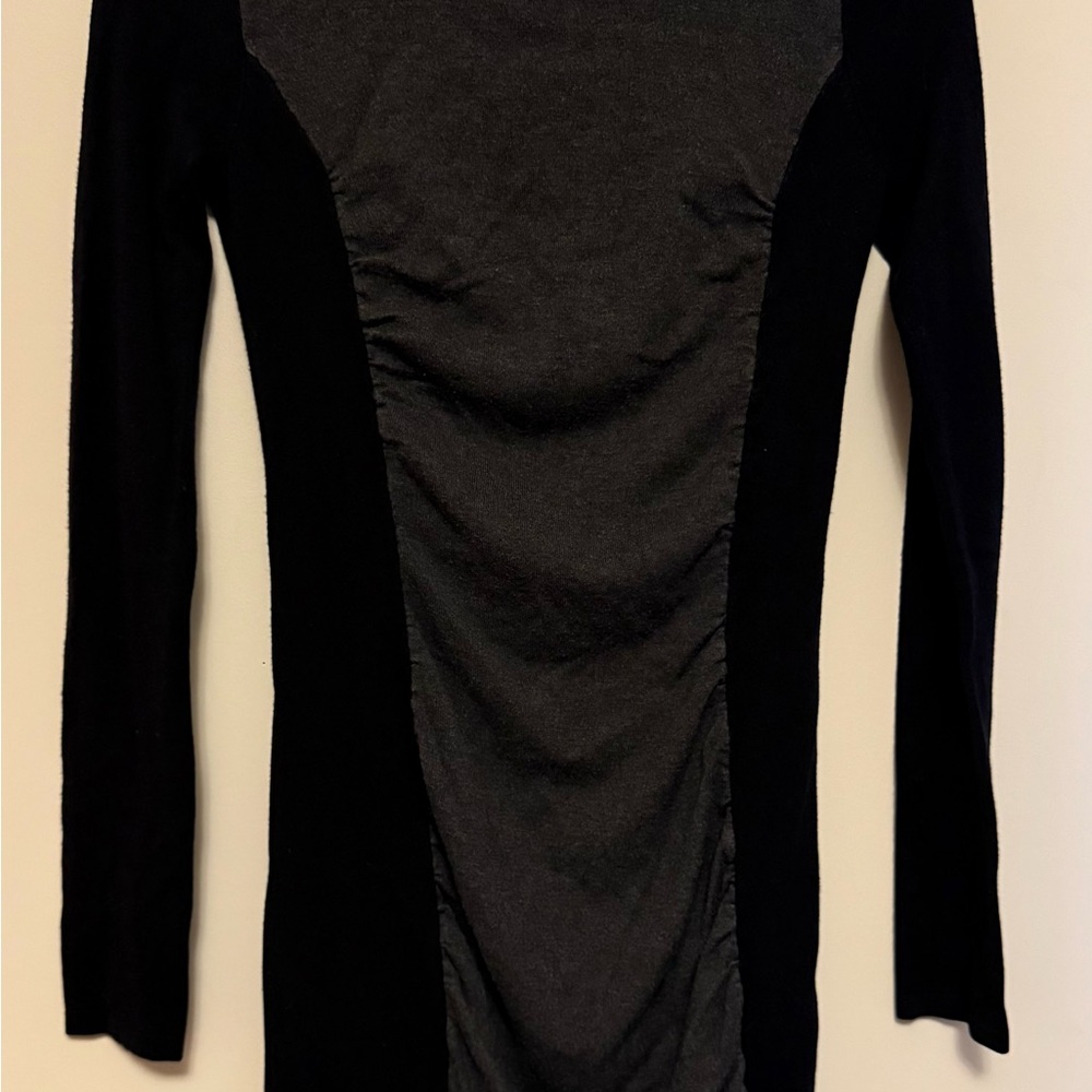 Express Long Sleeve Dress